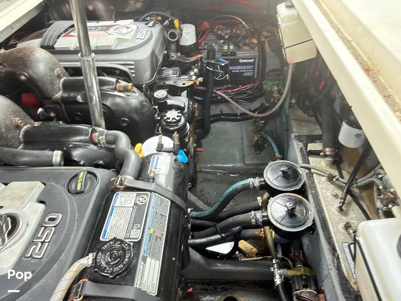 Slide: The Image of Sea Ray 290 Sundancer 1999 - 16283655