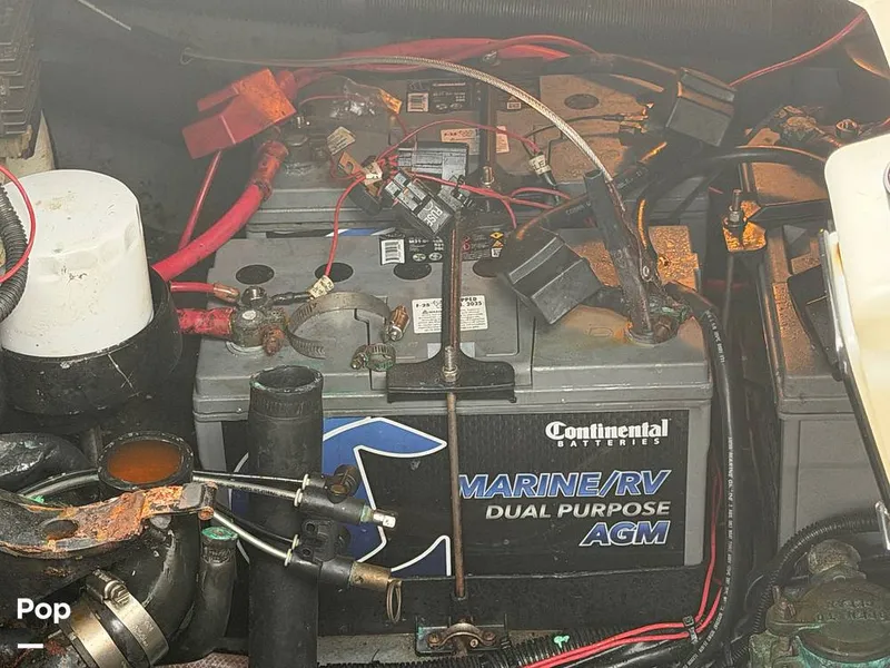 Slide: The Image of Sea Ray 290 Sundancer 1999 - 16283656