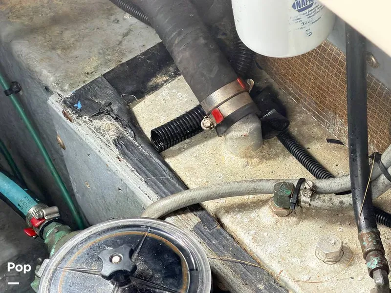 Slide: The Image of Sea Ray 290 Sundancer 1999 - 16283657