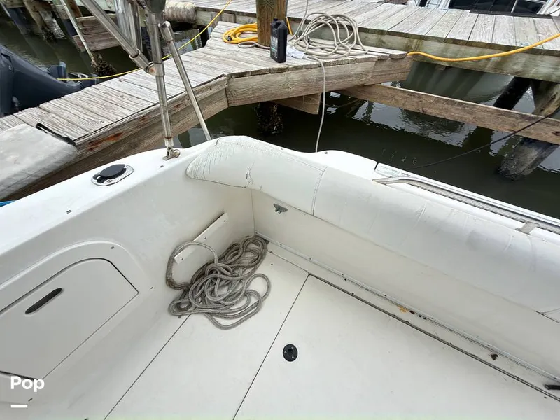 Slide: The Image of Sea Ray 290 Sundancer 1999 - 16283629