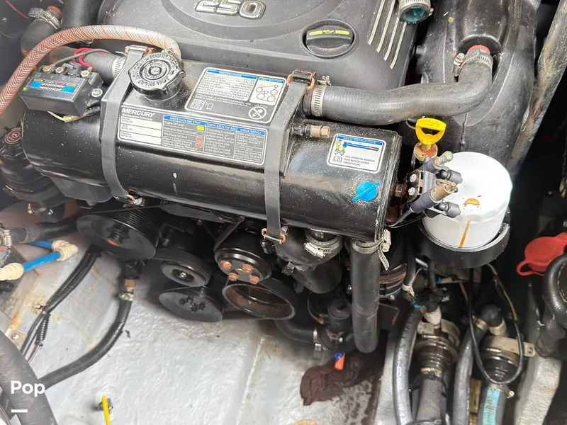 Slide: The Image of Sea Ray 290 Sundancer 1999 - 16283649