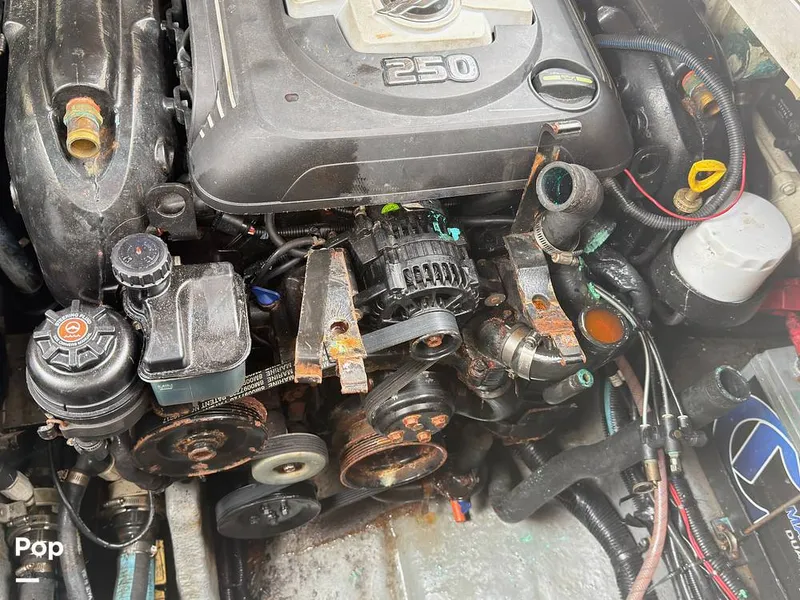 Slide: The Image of Sea Ray 290 Sundancer 1999 - 16283650