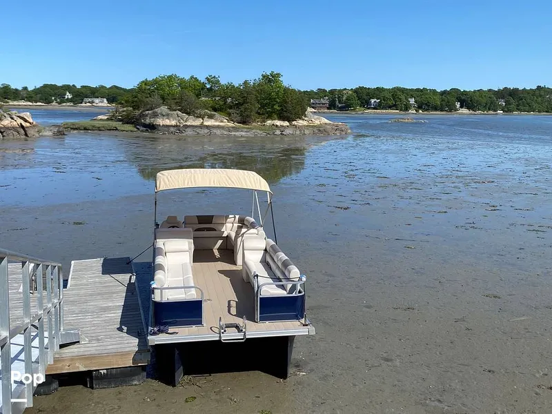 The Image of Sanibel Cat SBC 22 2026 - 16257683