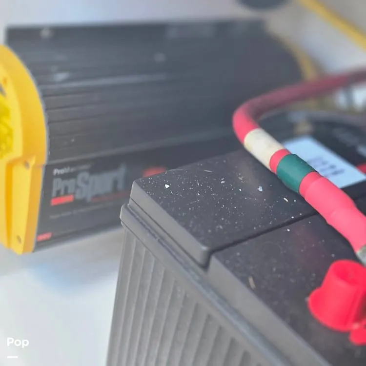 Slide: The Image of Wellcraft Fisherman 262 2018 - 16304544