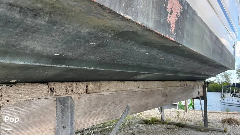 Slide: The Image of Monterey 265 Express 2004 - 16281531