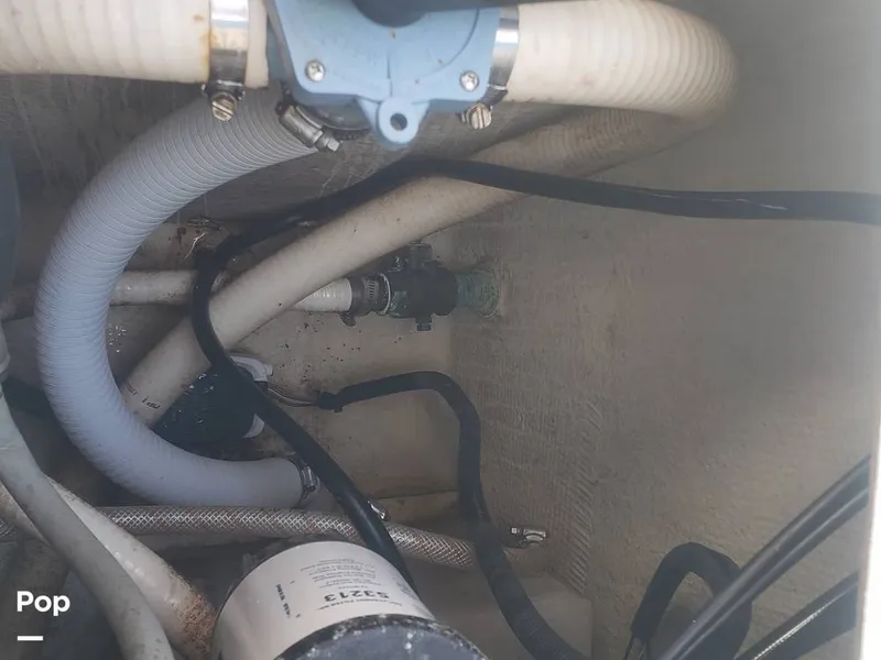 Slide: The Image of Beachcat 20 2017 - 16357341