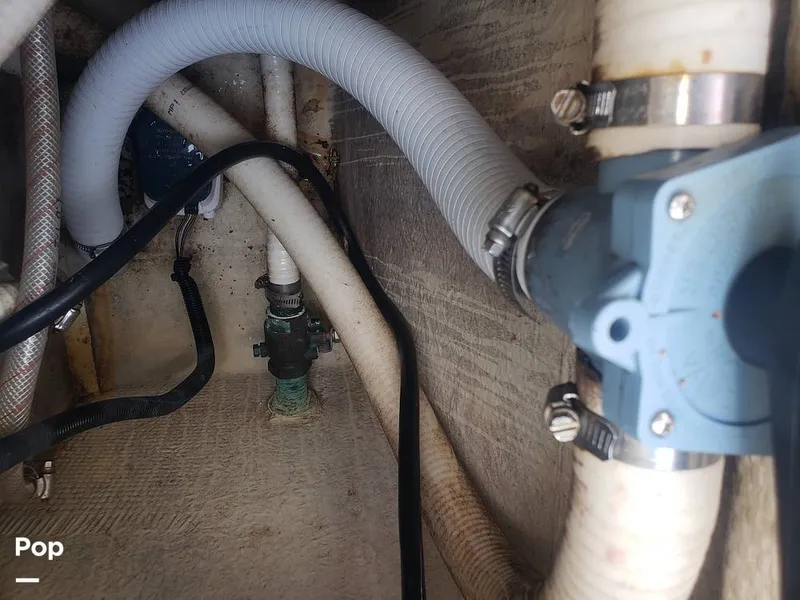 Slide: The Image of Beachcat 20 2017 - 16357342