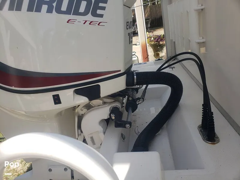 Slide: The Image of Beachcat 20 2017 - 16357343