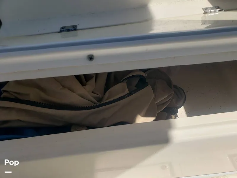 Slide: The Image of Beachcat 20 2017 - 16357347