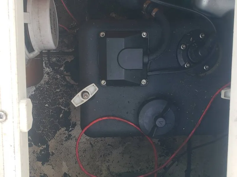 Slide: The Image of Beachcat 20 2017 - 16357348