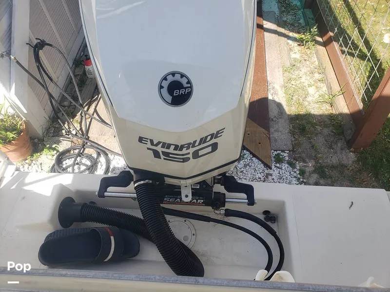 Slide: The Image of Beachcat 20 2017 - 16357349