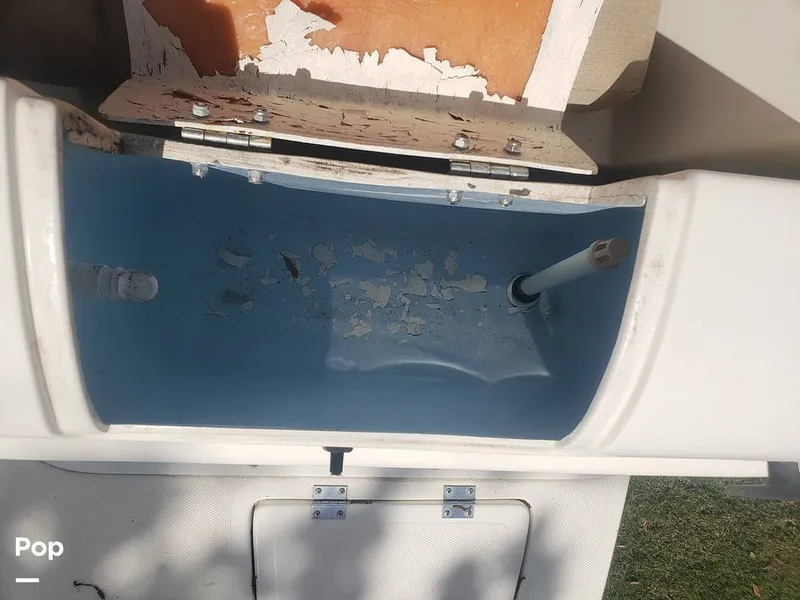 Slide: The Image of Beachcat 20 2017 - 16357356