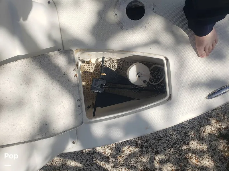 Slide: The Image of Beachcat 20 2017 - 16357364