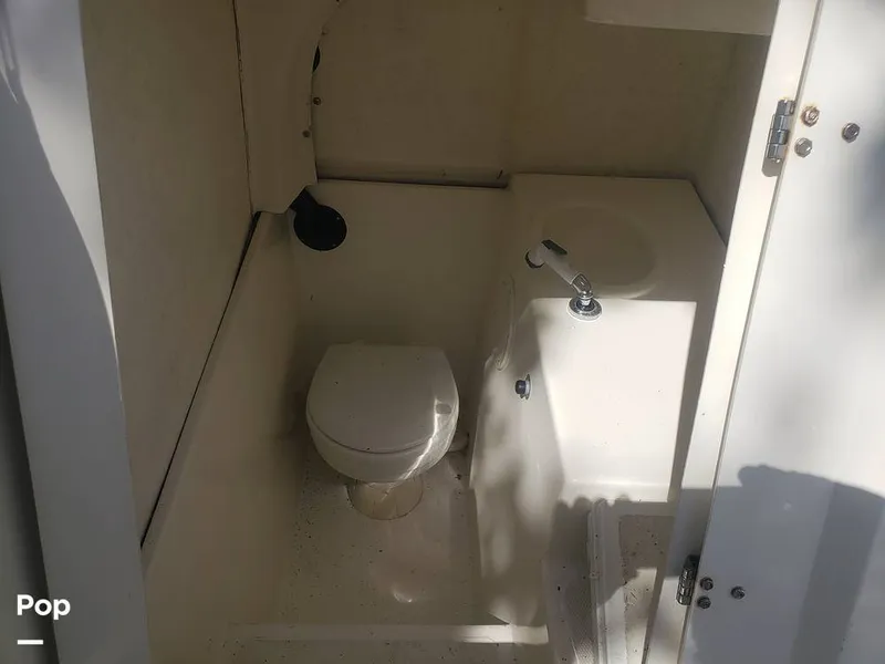 Slide: The Image of Beachcat 20 2017 - 16357366