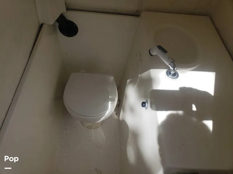 Slide: The Image of Beachcat 20 2017 - 16357368