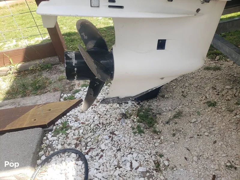 Slide: The Image of Beachcat 20 2017 - 16357333