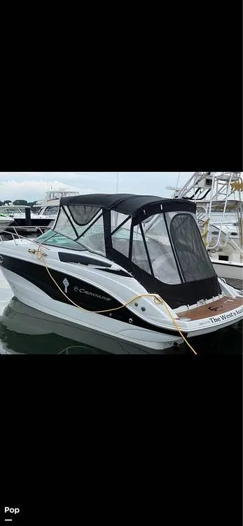 Slide: The Image of Crownline Boats 264 CR 2013 - 16518580