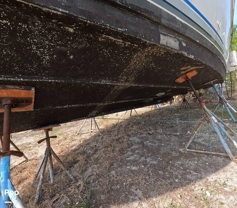 Slide: The Image of Carver Yachts 350 Aft Cabin 1993 - 16302005