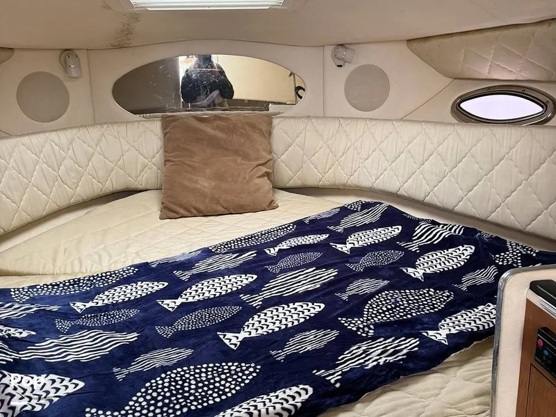 Slide: The Image of Sea Ray Amberjack 290 2006 - 16305086