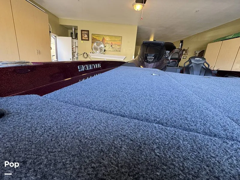 Slide: The Image of Skeeter ZXR20 2022 - 16294786