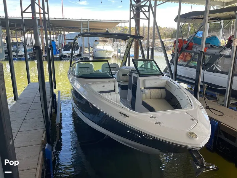 Slide: The Image of Beautiful Regal - 16288271