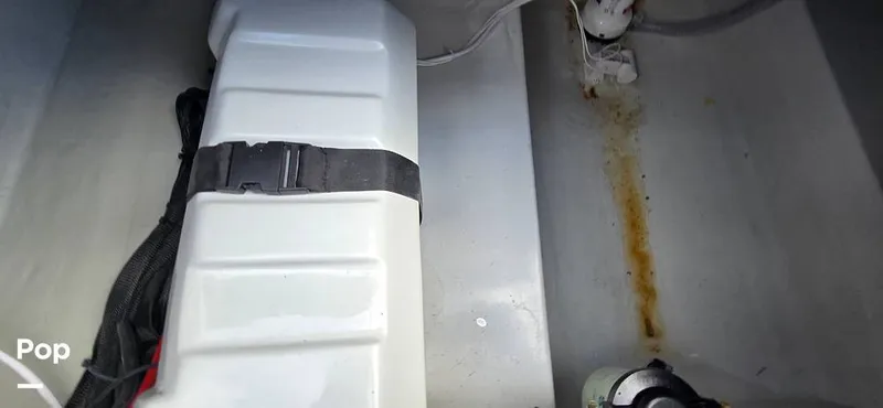 Slide: The Image of Nautical Ribs Nauti F25 2026 - 16278488