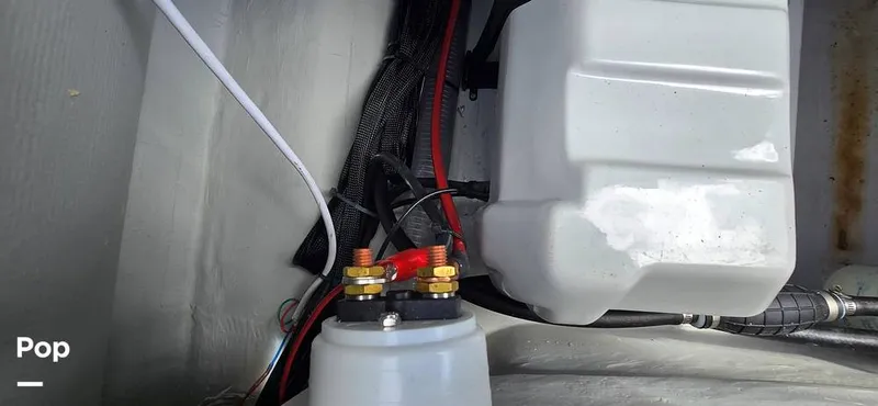 Slide: The Image of Nautical Ribs Nauti F25 2026 - 16278491