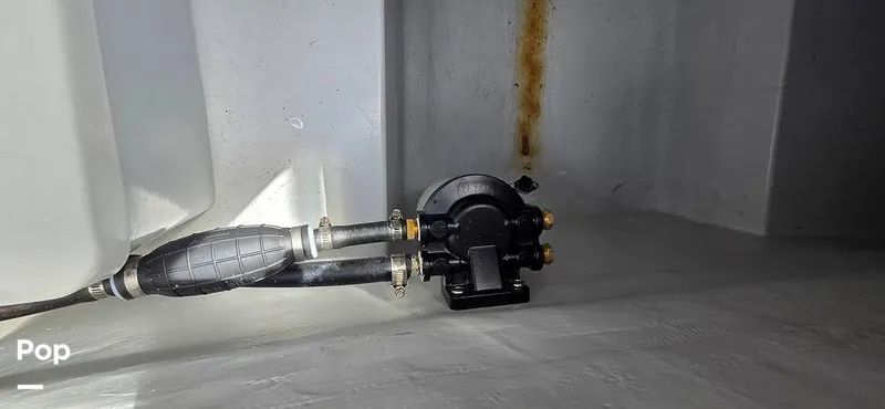 Slide: The Image of Nautical Ribs Nauti F25 2026 - 16278492