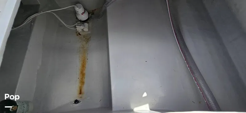 Slide: The Image of Nautical Ribs Nauti F25 2026 - 16278495