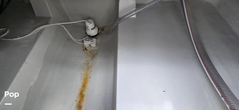 Slide: The Image of Nautical Ribs Nauti F25 2026 - 16278496