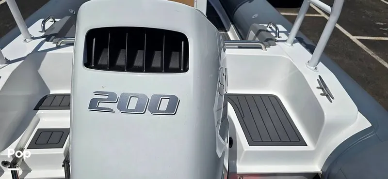 Slide: The Image of Nautical Ribs Nauti F25 2026 - 16278406