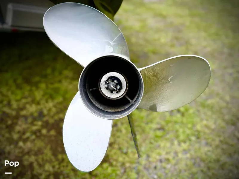 Slide: The Image of North River Seahawk 23 2021 - 16293718