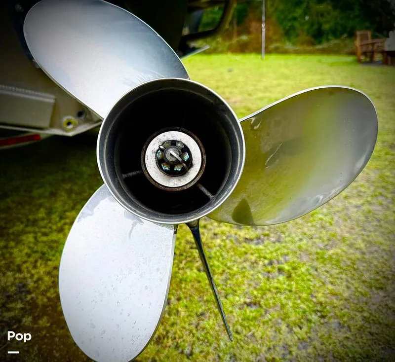 Slide: The Image of North River Seahawk 23 2021 - 16293719