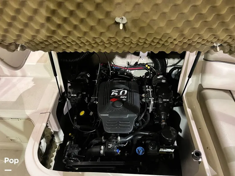 Slide: The Image of Sea Ray SD 200 2006 - 16287940