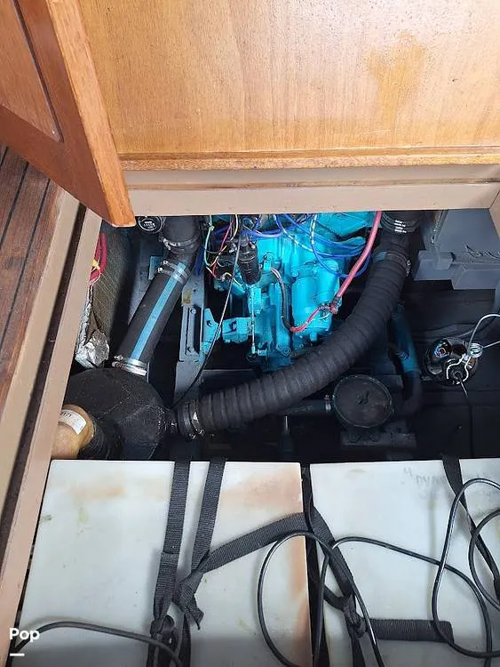 Slide: The Image of Owens Flagship 1956 - 16300805