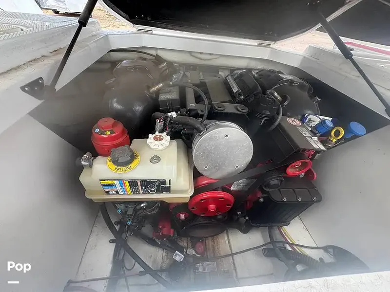 Slide: The Image of Chaparral Surf H20 2019 - 16289388