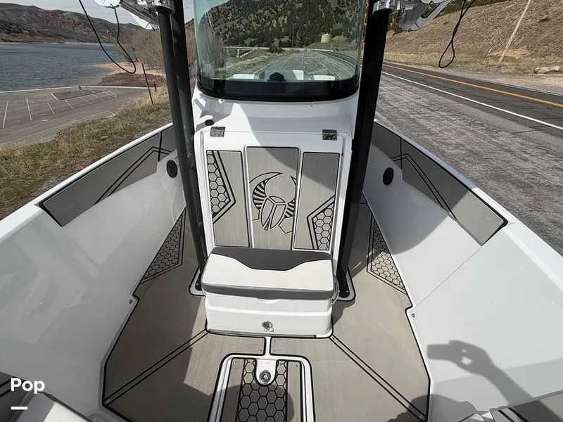 Slide: The Image of Scarab 255 Open 2020 - 16313040