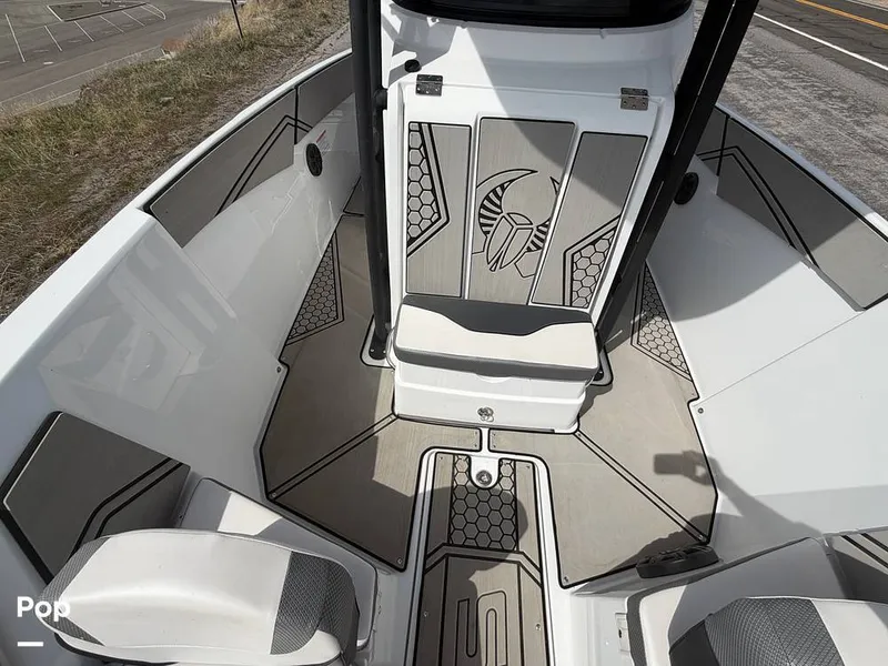 Slide: The Image of Scarab 255 Open 2020 - 16313043