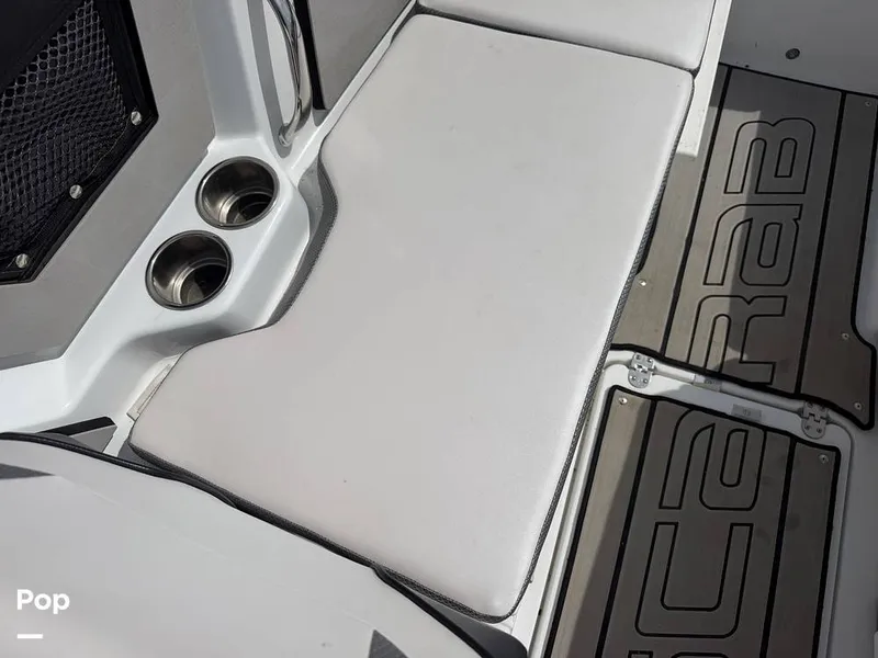 Slide: The Image of Scarab 255 Open 2020 - 16313044