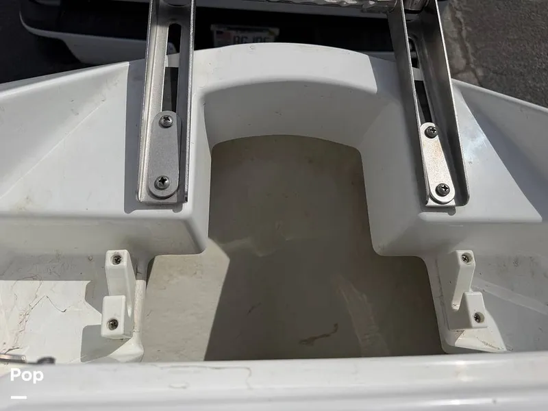 Slide: The Image of Scarab 255 Open 2020 - 16313045