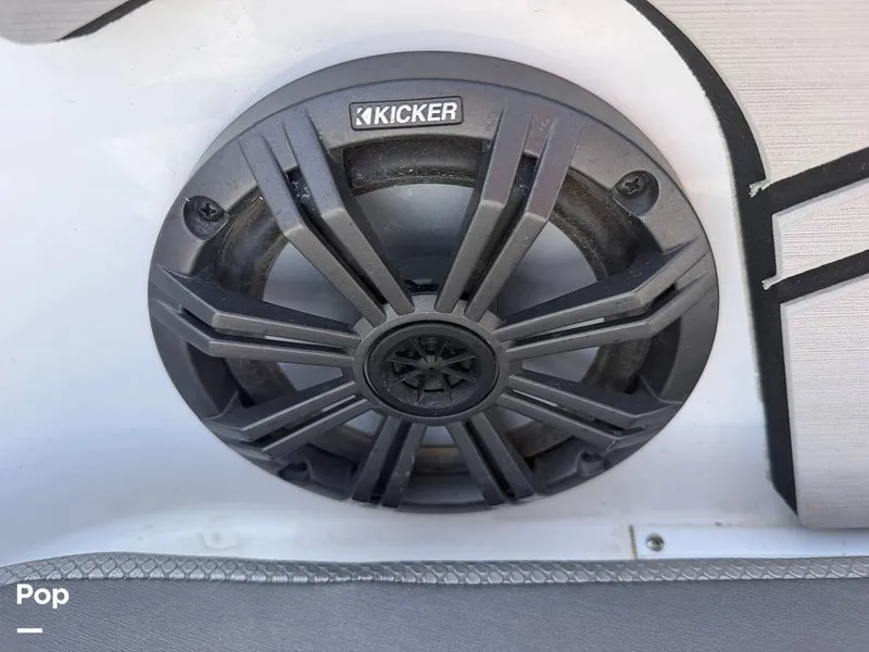 Slide: The Image of Scarab 255 Open 2020 - 16313046