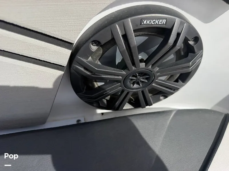 Slide: The Image of Scarab 255 Open 2020 - 16313047