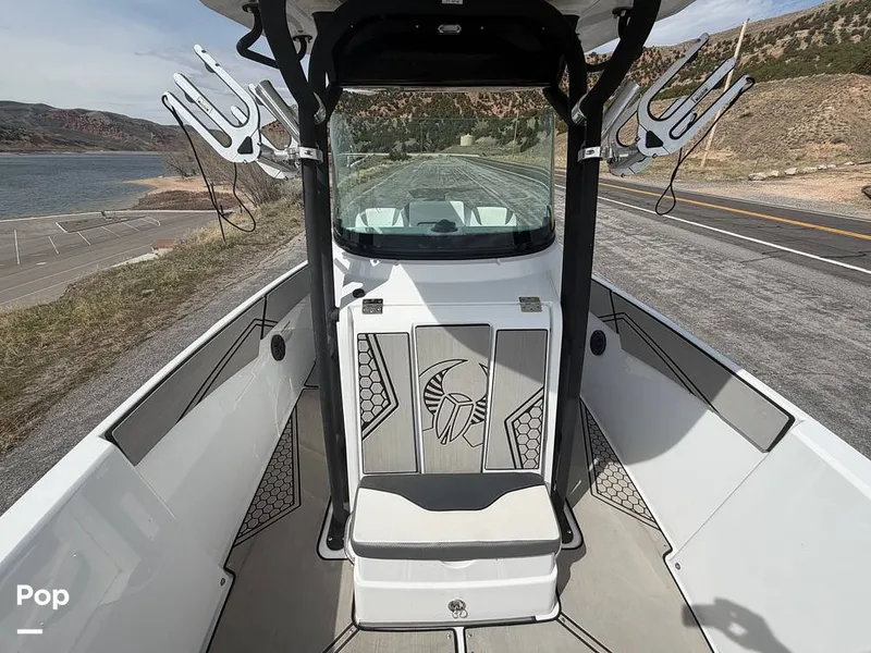 Slide: The Image of Scarab 255 Open 2020 - 16313051