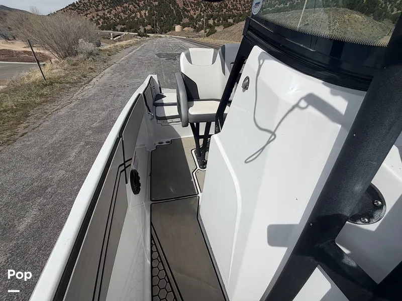 Slide: The Image of Scarab 255 Open 2020 - 16313052