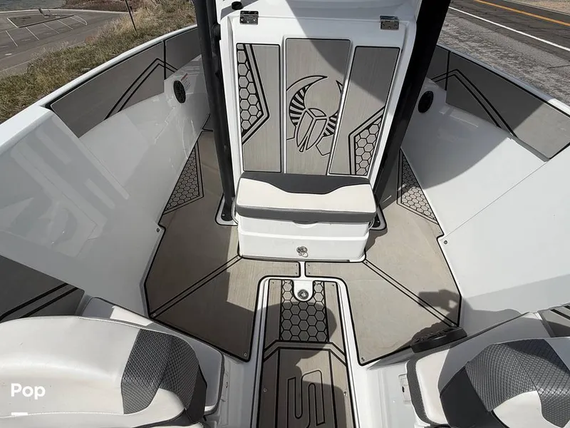 Slide: The Image of Scarab 255 Open 2020 - 16313055