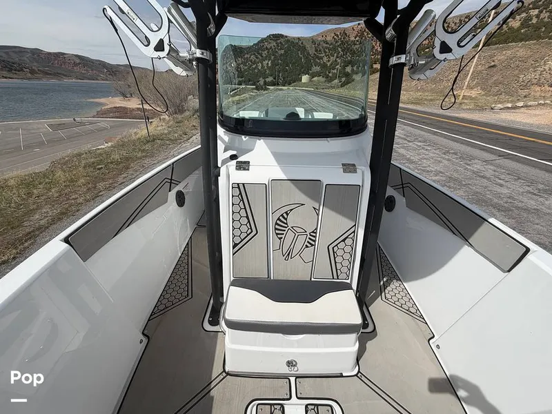 Slide: The Image of Scarab 255 Open 2020 - 16313056