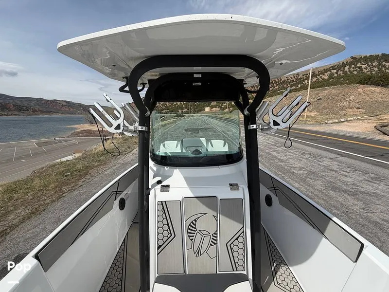 Slide: The Image of Scarab 255 Open 2020 - 16313057