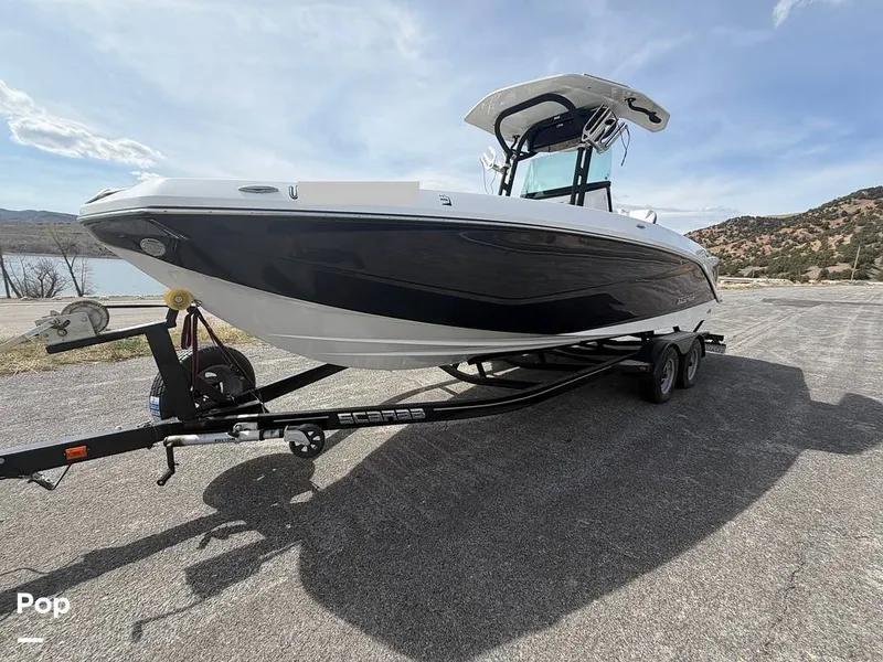 Slide: The Image of Scarab 255 Open 2020 - 16313068