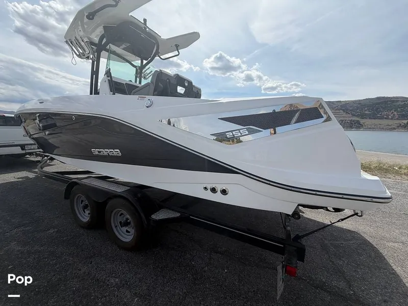 Slide: The Image of Scarab 255 Open 2020 - 16313073