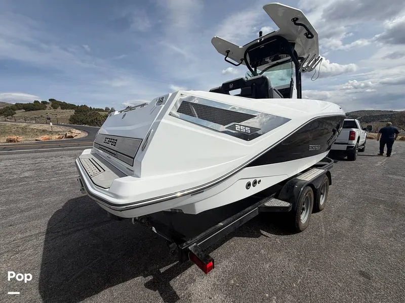 Slide: The Image of Scarab 255 Open 2020 - 16313077